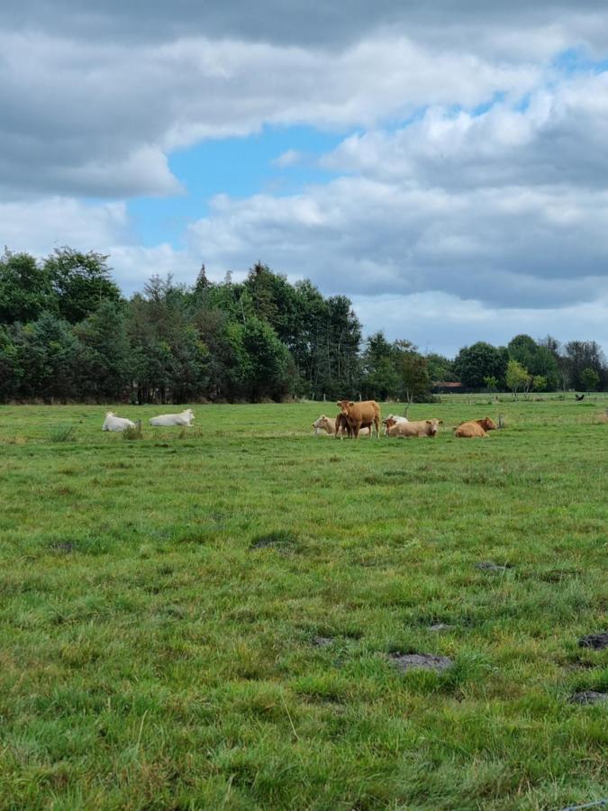 Haus Moor Merland Moormerland Kültér fotó